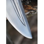 Falcata con manico a testa di cavallo, incl. fodero e coltello, IV-III secolo a.C.