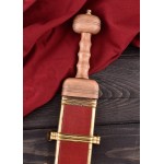 Pompeii Gladius type épée