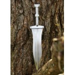 Pompéi Pugio, 1er siècle