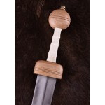 Xanten Römisches Gladius Schwert mit Scheide, 3. Jh.