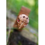 Parazonium - Griechisch-römisches Kurzschwert