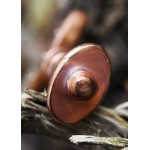 Spada celtica in bronzo