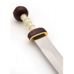 Spiculus gladiusÉpée, guindeau