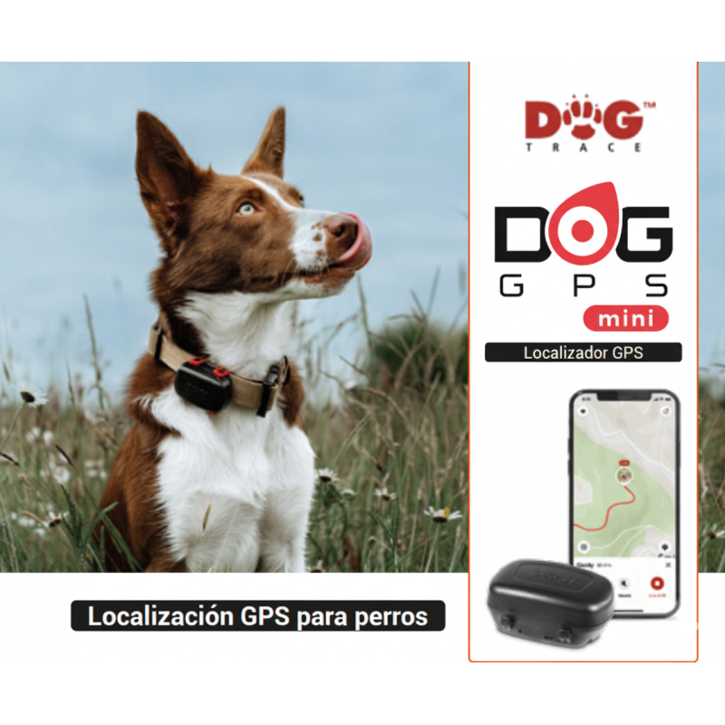 Dogtrace GPS Mini Locator - erfordert Mobilfunkempfang