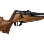 PCP ACERO SNWPK T-REX CARABINA LEGNO 5,5 MM