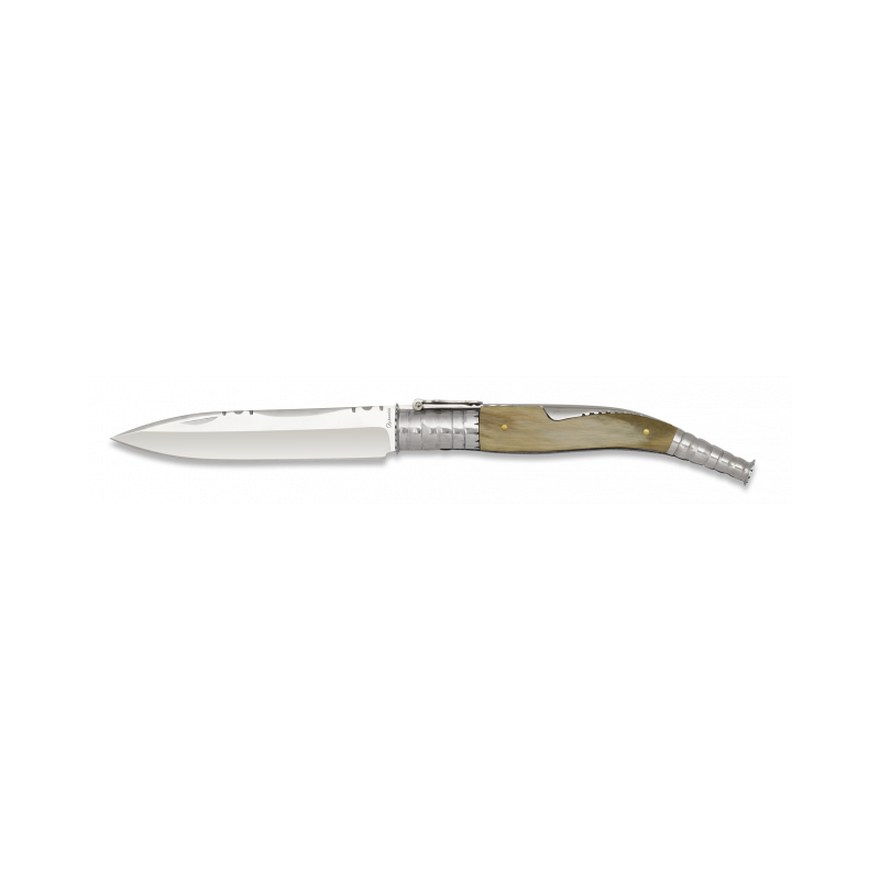 Albainox classical horn pocket knife