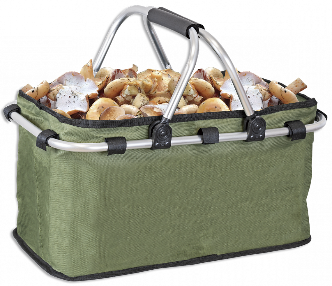 PACK DE CHAMPIGNONS - MYCOLOGICAL COLLECTION