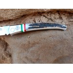 Mexican Flag Folding Knife