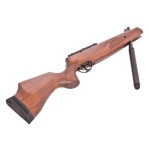 CARABINE À AIR COMPRIMÉ BSA LIGHTNING XL SE 5,5 MM