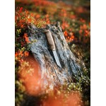 Cuchillo marttiini Lumberjack Stainless