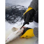 Faca de limpeza de peixe marttiini