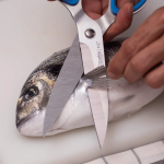 Tijera Pescaderia