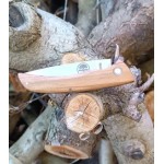 Valdenguía pocket knife with olive wood handle.