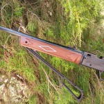 CARABINA DE AIRE COMPRIMIDO DAISY MODEL 880 POWERLINE CAL. 4.5MM + VISOR