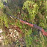 CARABINA AD ARIA COMPRESSA DAISY MODELLO 880 POWERLINE CAL.4.5MM + CANNOCCHIALE