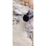 Mag-Fire Trailhawk 4,5 mm Crosman Karabiner – 20 Joule
