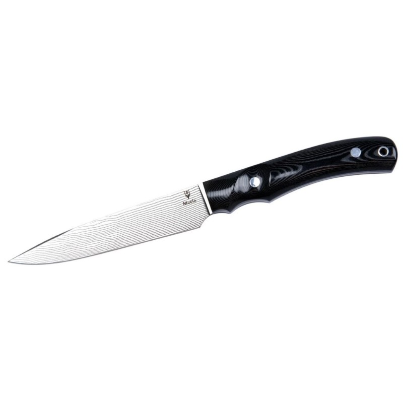 Coltello Muela criollo-14M. Damasco steel DX