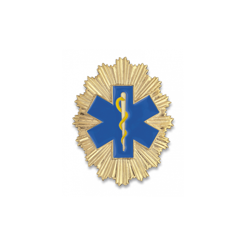 STERN DES LEBENS Abzeichen