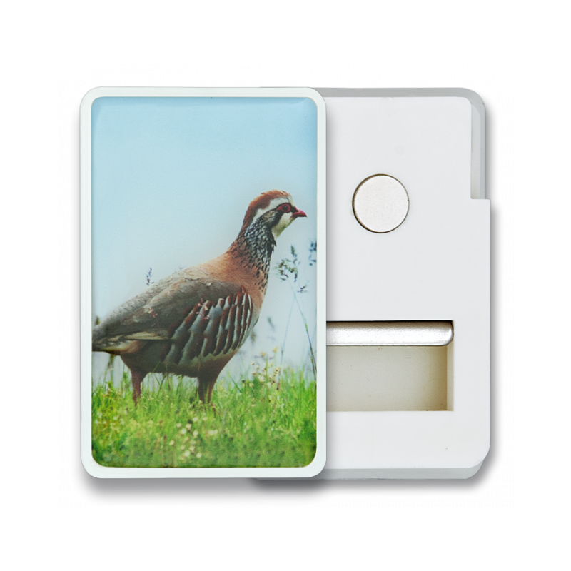 Frigo Magnet mit Greifer PERDIZ