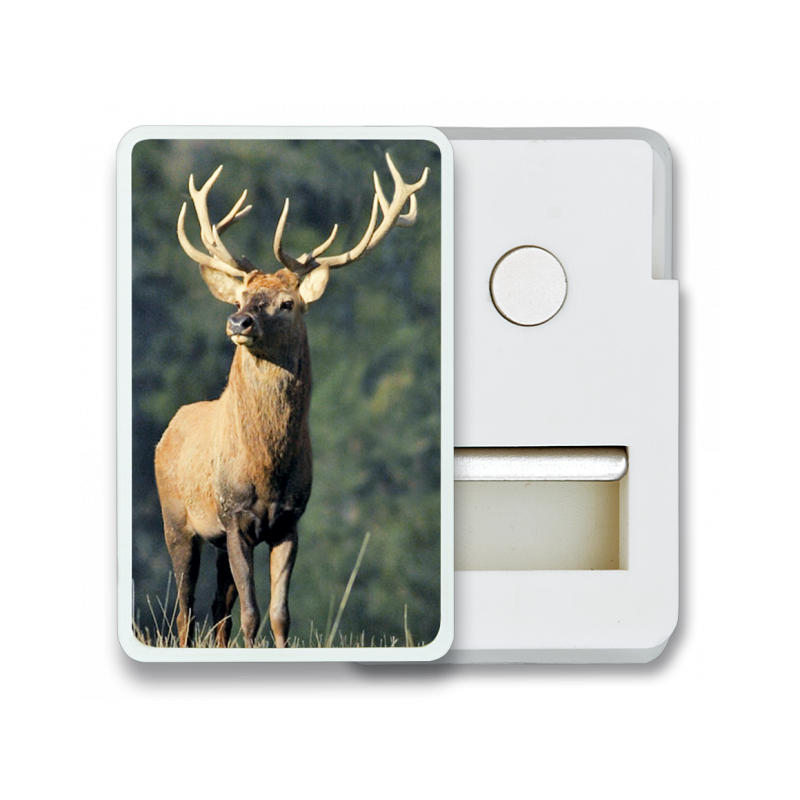 Aimant Frigo avec pince CIERVO