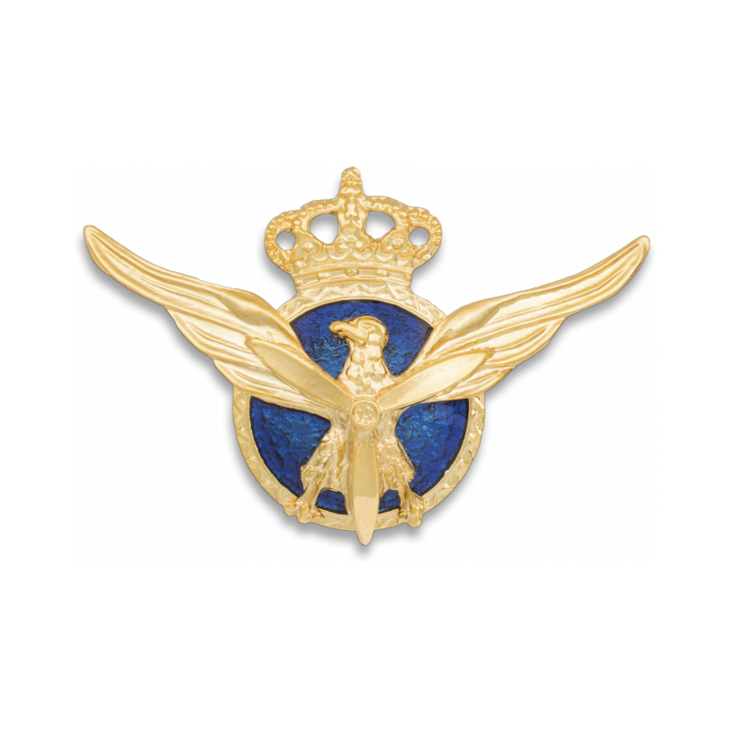 Offizielles Pilotenabzeichen für die Zivilluftfahrt