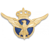 Distintivo Piloto Aviacion Civil Oficial