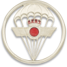 Distintivo Boina Aviacion Paracaidista