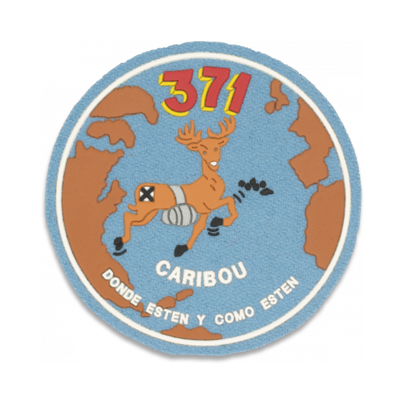 Patch do Esquadrão 371