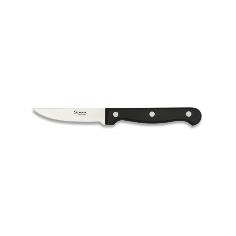Paring knife ALBAINOX 8 CM