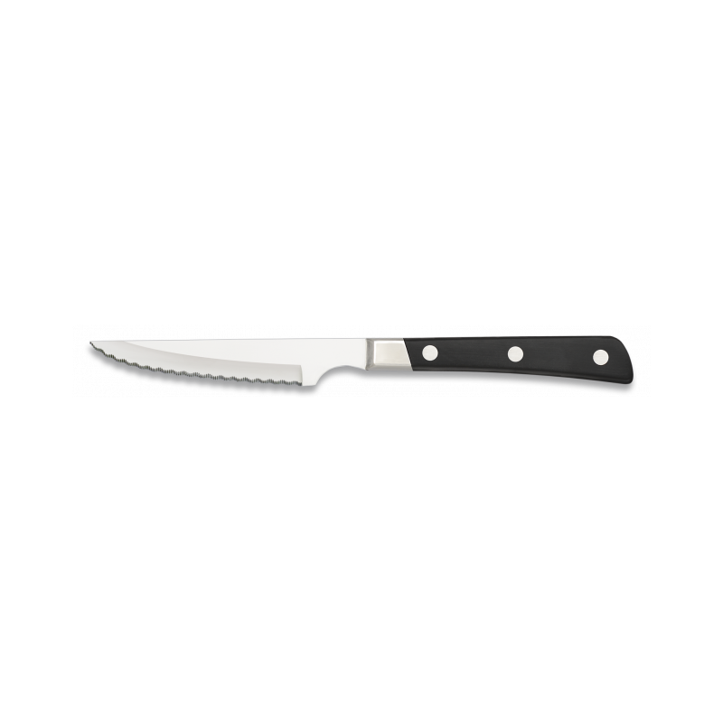Steak knife ALBAINOX serration 11 cm (6 pcs)