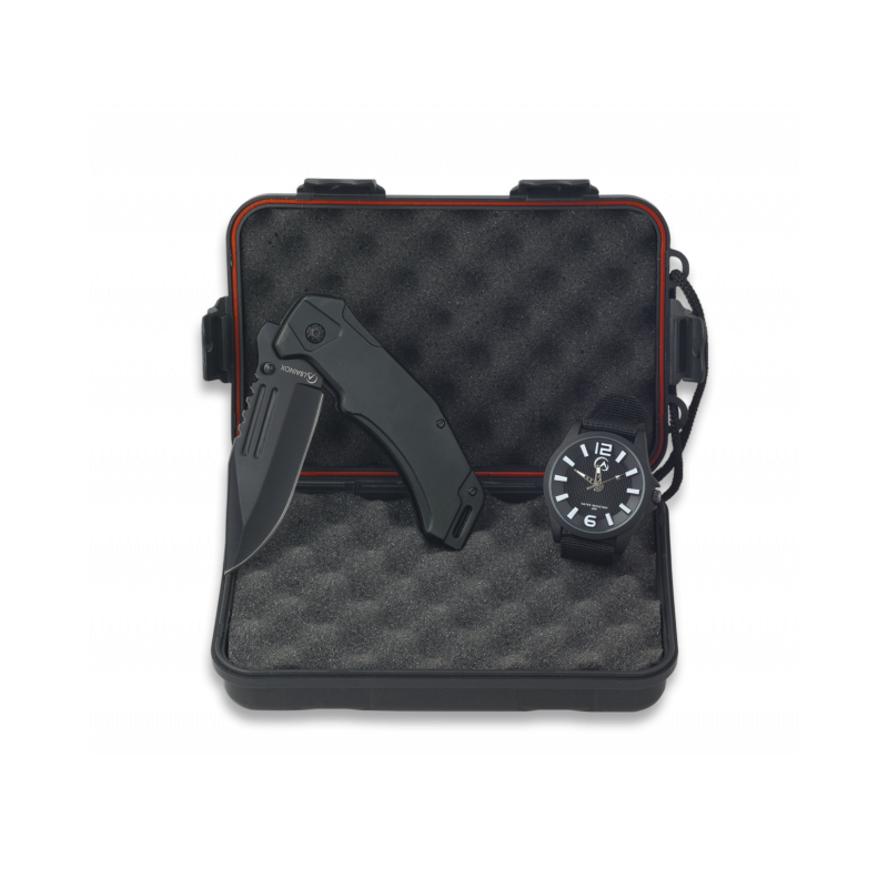 Conjunto 34162+33849+19909