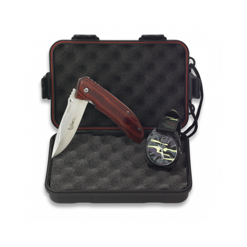 Set 34162+33854+19973