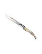 Ratchet Penknives