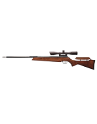Piston Air Rifles