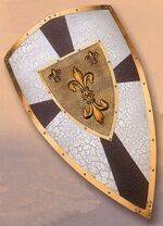 Medieval shields