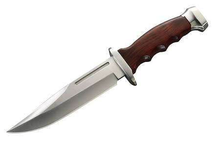 Knife with cocobolo wood handle