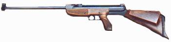 Carabina de aire comprimido Gamo Gamatic.